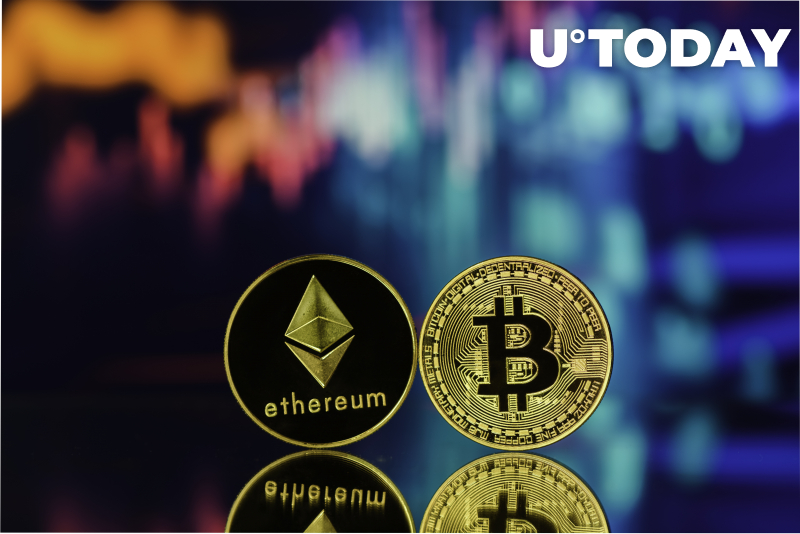 Giám đốc điều hành Gerber Kawasaki So sánh Bitcoin và Ether với Gián - Tin Tức Bitcoin - Cập Nhật Tin Tức Coin Mới Nhất 24/7 2025 Giám đốc điều hành Gerber Kawasaki So sánh Bitcoin và Ether với Gián