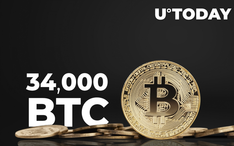 Hơn 34.000 BTC được chuyển từ Địa chỉ cá voi trong 24 giờ - Tin Tức Bitcoin - Cập Nhật Tin Tức Coin Mới Nhất 24/7 2025 Hơn 34.000 BTC được chuyển từ Địa chỉ cá voi trong 24 giờ