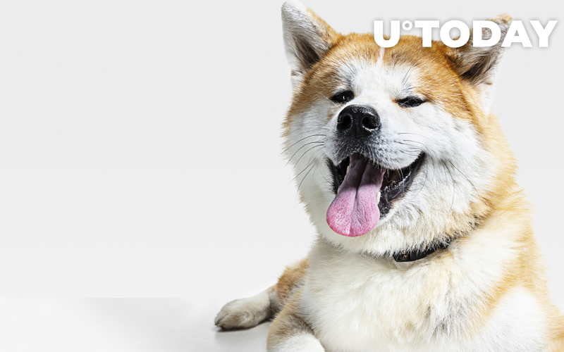 Người đồng sáng lập Dogecoin giết hại những người nắm giữ quyền lực cố gắng hủy hoại cộng đồng từ bên trong