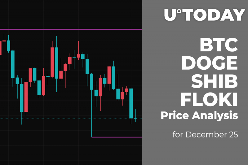 Phân tích giá BTC, DOGE, SHIB và FLOKI cho ngày 25 tháng 12