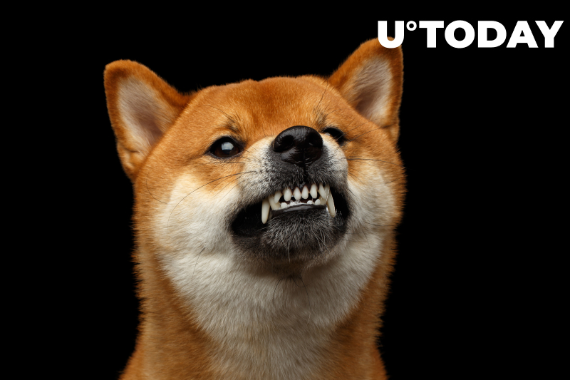 Quân đội Shiba Inu trong cuộc chiến với nhà quảng bá Renegade - Tin Tức Bitcoin - Cập Nhật Tin Tức Coin Mới Nhất 24/7 2025 Quân đội Shiba Inu trong cuộc chiến với nhà quảng bá Renegade