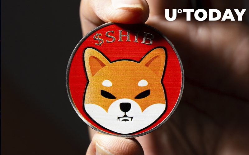 SHIB đẩy FTX xuống từ vị trí số 1 khi nắm giữ nhiều nhất trong số 1.000 cá voi hàng đầu - Tin Tức Bitcoin - Cập Nhật Tin Tức Coin Mới Nhất 24/7 2025 SHIB đẩy FTX xuống từ vị trí số 1 khi nắm giữ nhiều nhất trong số 1.000 cá voi hàng đầu