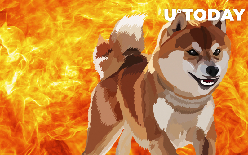 SHIB tạo ra mức tăng nhỏ với 706 triệu SHIB bị đốt cháy trong 24 giờ - Tin Tức Bitcoin - Cập Nhật Tin Tức Coin Mới Nhất 24/7 2025 SHIB tạo ra mức tăng nhỏ với 706 triệu SHIB bị đốt cháy trong 24 giờ