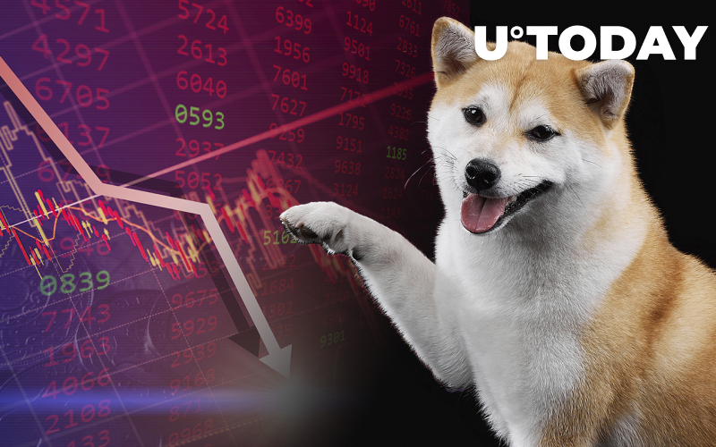 Shiba Inu Whale Holdings lại giảm xuống dưới 2 tỷ USD