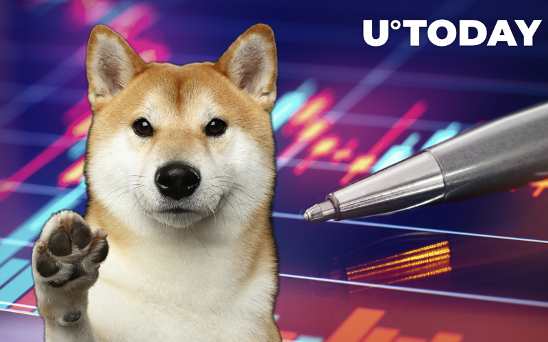 Shiba Inu chuyển đầu tư trung hạn khi người nắm giữ ngắn hạn đầu tư