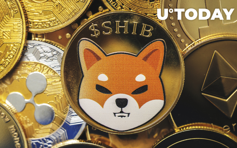 Shiba Inu ghi nhận mức tăng hơn 100% về địa chỉ và số lượng cá voi đang hoạt động mặc dù giảm