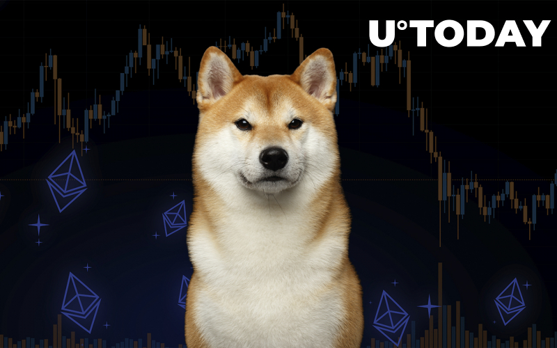 Shiba Inu trở thành công ty nắm giữ lớn thứ 3 trong số các cá voi Ethereum - Tin Tức Bitcoin - Cập Nhật Tin Tức Coin Mới Nhất 24/7 2025 Shiba Inu trở thành công ty nắm giữ lớn thứ 3 trong số các cá voi Ethereum