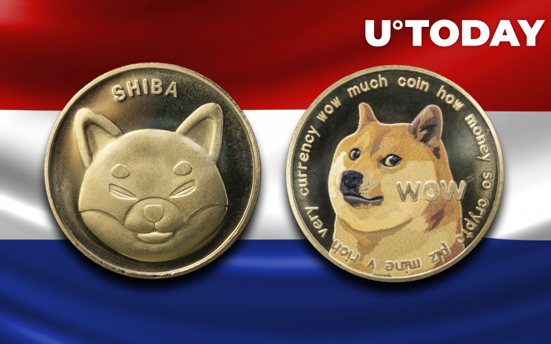 Triệu phú Hà Lan khá lạc quan với Shiba Inu và Dogecoin - Tin Tức Bitcoin - Cập Nhật Tin Tức Coin Mới Nhất 24/7 2025 Triệu phú Hà Lan khá lạc quan với Shiba Inu và Dogecoin