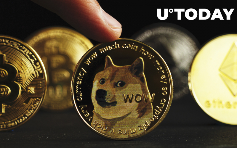 Xử lý cổ phiếu Dogecoin và Meme: Triển vọng của Chủ tịch North Island cho năm 2022