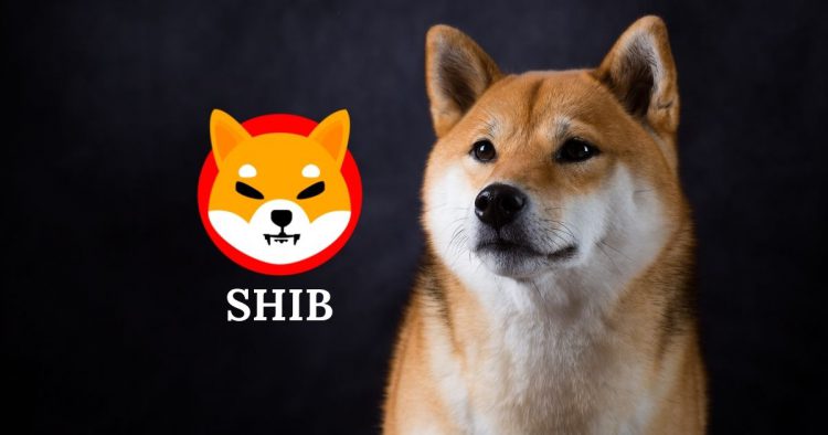 Shiba Inu (SHIB) đã tăng gần 19% số địa chỉ hoạt động trong bảy ngày