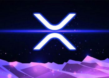 Các giao dịch được xử lý trên mạng XRP tăng đột biến, cá voi tích lũy mặc dù giá giảm - Tin Tức Bitcoin - Cập Nhật Tin Tức Coin Mới Nhất 24/7 2024