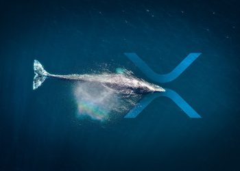 Whale đã chuyển gần 450 triệu XRP cùng với Binance và một sàn giao dịch lớn của Hàn Quốc - Tin Tức Bitcoin - Cập Nhật Tin Tức Coin Mới Nhất 24/7 2024