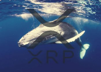 Các sàn giao dịch lớn trên thế giới đã thay đổi nhẹ hơn 309 triệu XRP vào hai ngày cuối năm 2021