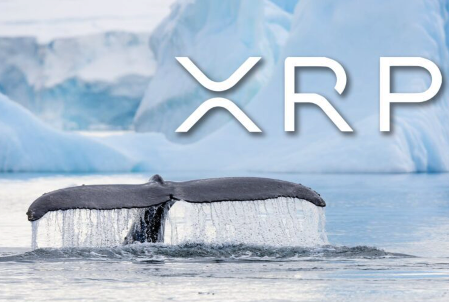 Một con cá voi XRP khác chuyển tiền từ sàn giao dịch, hiện đang lưu trữ 150 triệu đô la trong một ví riêng - Tin Tức Bitcoin - Cập Nhật Tin Tức Coin Mới Nhất 24/7 2025