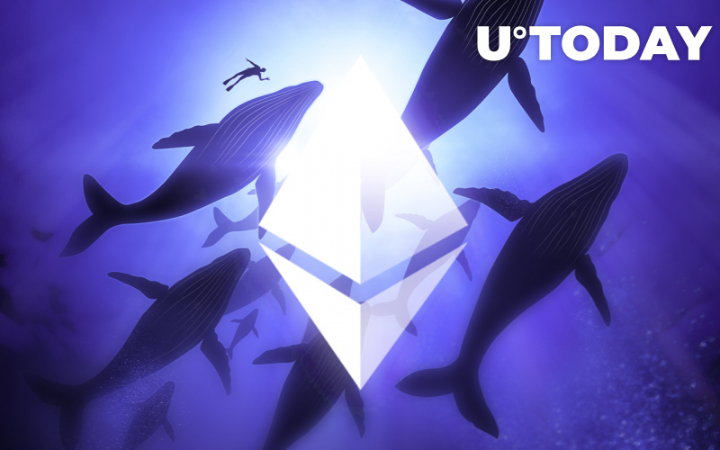 10 cá voi ETH hàng đầu không phải trao đổi nắm giữ nhiều ETH hơn so với các ví trao đổi hàng đầu - Tin Tức Bitcoin - Cập Nhật Tin Tức Coin Mới Nhất 24/7 2025 10 cá voi ETH hàng đầu không phải trao đổi nắm giữ nhiều ETH hơn so với các ví trao đổi hàng đầu