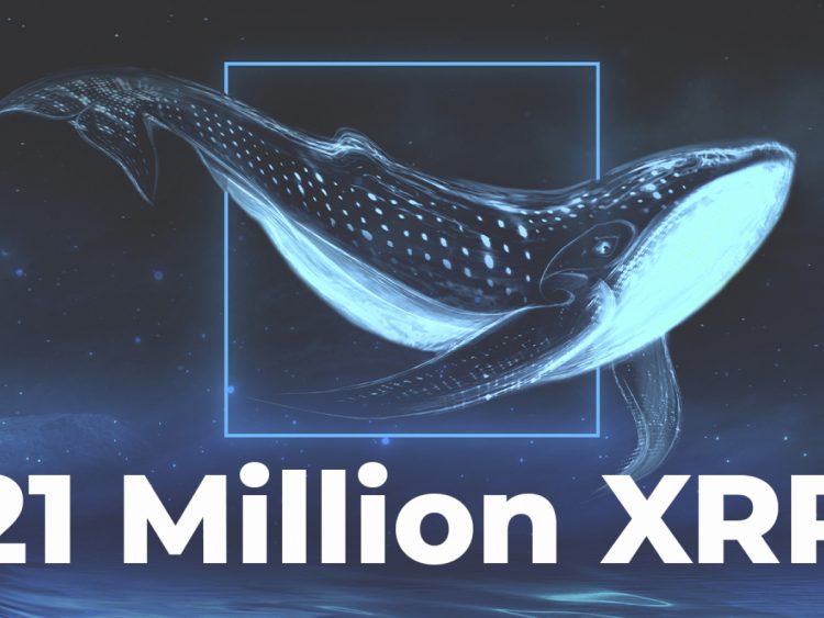 Cá voi chuyển 21 triệu XRP sang Binance khi giá giảm xuống 0,7 đô la