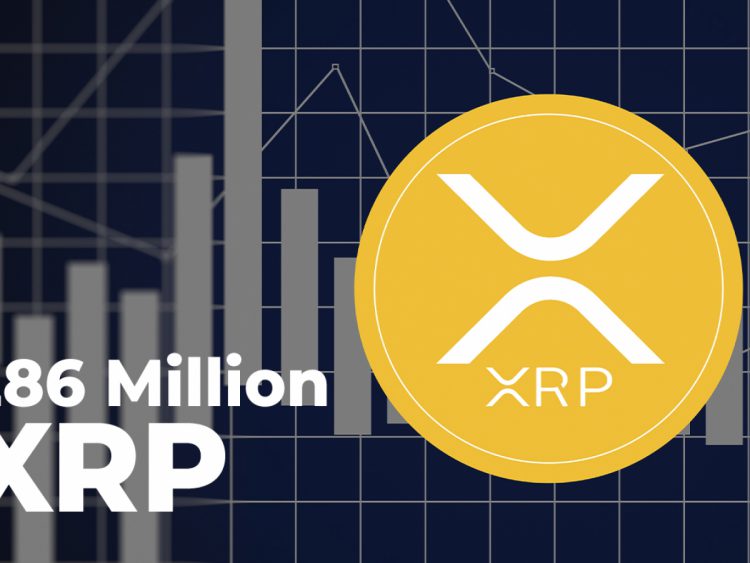 286 triệu XRP được dịch chuyển bởi Ripple, Hành lang ODL và các sàn giao dịch hàng đầu