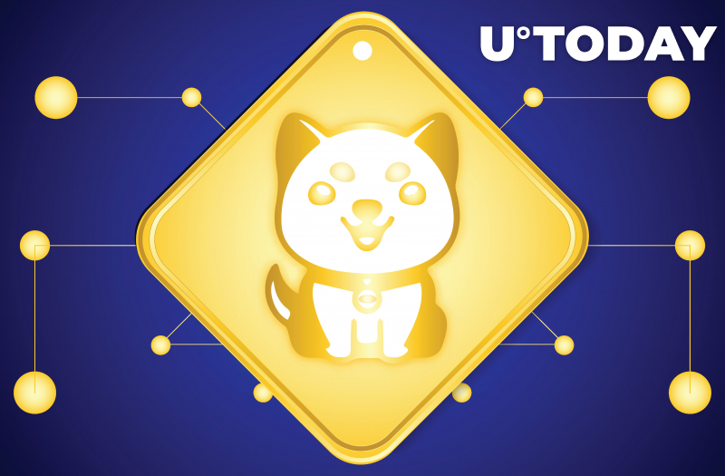 BabyDoge đạt 1,2 triệu người sở hữu và đánh bại Shiba Inu