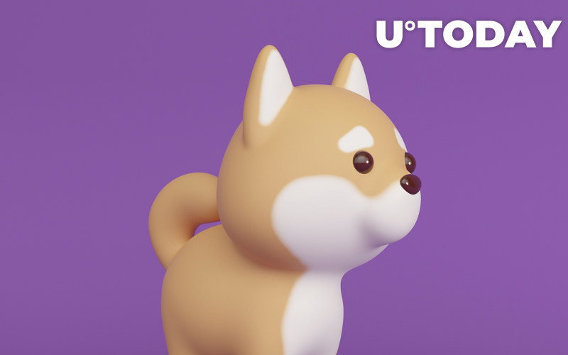 BabyDoge lật ETH trở thành đồng xu được giao dịch nhiều nhất trong số 1.000 ví BSC hàng đầu