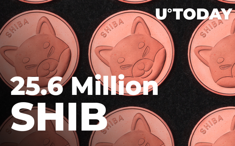 Báo cáo cho biết 25,6 triệu SHIB đã trôi qua trong 24 giờ qua - Tin Tức Bitcoin - Cập Nhật Tin Tức Coin Mới Nhất 24/7 2025 Báo cáo cho biết 25,6 triệu SHIB đã trôi qua trong 24 giờ qua