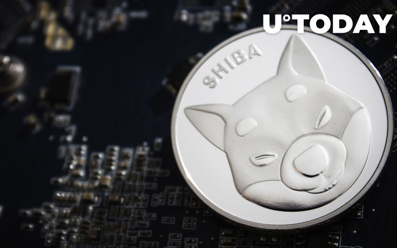 Cá voi Shiba Inu giữ được token bất chấp việc thị trường bán tháo: Chi tiết