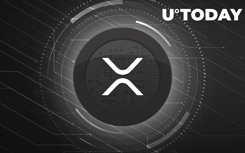 Cá voi XRP đã chuyển được 20 triệu đô la từ sàn giao dịch - Tin Tức Bitcoin - Cập Nhật Tin Tức Coin Mới Nhất 24/7 2025 Cá voi XRP đã chuyển được 20 triệu đô la từ sàn giao dịch