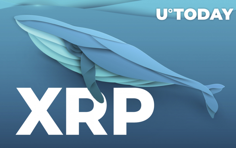 Cá voi XRP rút 150 triệu xu từ Binance - Tin Tức Bitcoin - Cập Nhật Tin Tức Coin Mới Nhất 24/7 2025 Cá voi XRP rút 150 triệu xu từ Binance