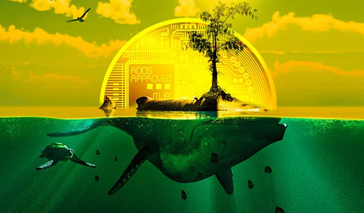 cá voi ethereum giật gân tiền điện tử