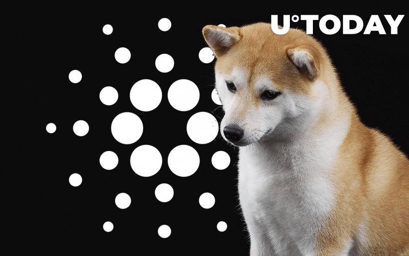 Cơ hội mua hiện tại của Shiba Inu, Cardano Theo Chỉ số này - Tin Tức Bitcoin - Cập Nhật Tin Tức Coin Mới Nhất 24/7 2025 Cơ hội mua hiện tại của Shiba Inu, Cardano Theo Chỉ số này