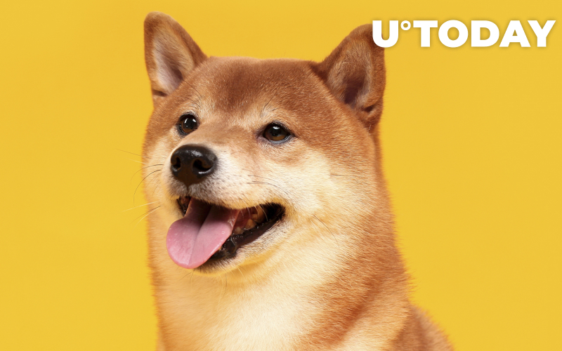 Định giá Shiba Inu cho năm 2022 Di chuyển khi 9 doanh nghiệp tham gia SHIB Burn Pledge