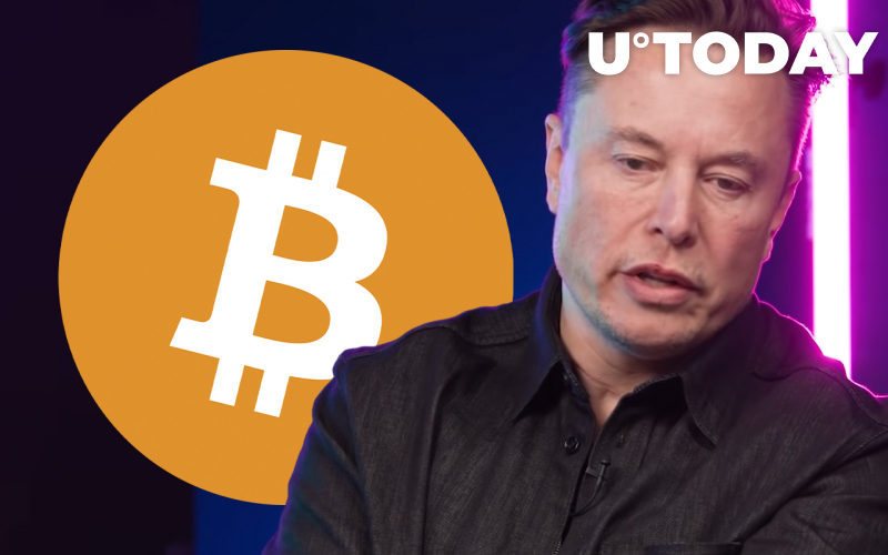 Elon Musk đưa ra bình luận vui nhộn về khối khởi đầu của Bitcoin 