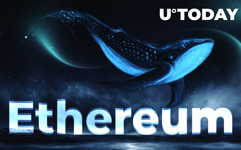Ethereum Mega Whales Tích lũy 0,59% tổng nguồn cung ETH dẫn đến cuộc biểu tình gần đây - Tin Tức Bitcoin - Cập Nhật Tin Tức Coin Mới Nhất 24/7 2025 Ethereum Mega Whales Tích lũy 0,59% tổng nguồn cung ETH dẫn đến cuộc biểu tình gần đây