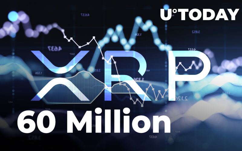 Hoạt động bất thường của XRP: Ai đó đã chuyển 60 triệu xu giữa các sàn giao dịch khác nhau - Tin Tức Bitcoin - Cập Nhật Tin Tức Coin Mới Nhất 24/7 2025 Hoạt động bất thường của XRP: Ai đó đã chuyển 60 triệu xu giữa các sàn giao dịch khác nhau