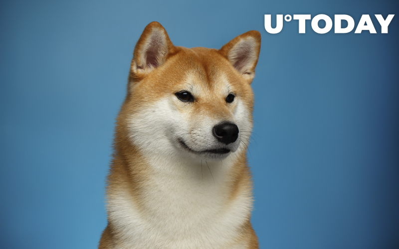 Khả năng sinh lời của Shiba Inu và Dogecoin đã hết: Đây là lý do tại sao