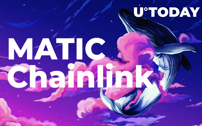 MATIC và Chainlink trong số 10 token hàng đầu mà cá voi đang mua khi thị trường giảm