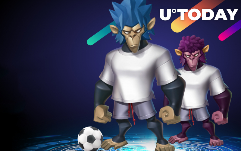 MonkeyBall GameFi ra mắt MBS Trading, thông báo phát hành NFT