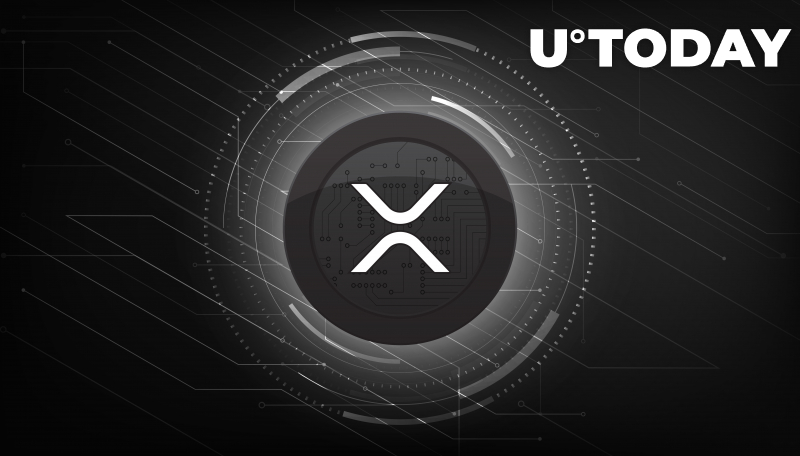 Quỹ người sáng tạo trị giá 250 triệu đô la ra mắt cho những người say mê NFT tập trung vào XRPL - Tin Tức Bitcoin - Cập Nhật Tin Tức Coin Mới Nhất 24/7 2025 Quỹ người sáng tạo trị giá 250 triệu đô la ra mắt cho những người say mê NFT tập trung vào XRPL