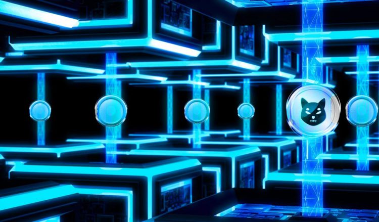 Shiba Inu (SHIB) và một số loại tiền thay thế bổ sung hiện chiếm hơn một nửa Ethereum Whale Holdings - Tin Tức Bitcoin - Cập Nhật Tin Tức Coin Mới Nhất 24/7 2025