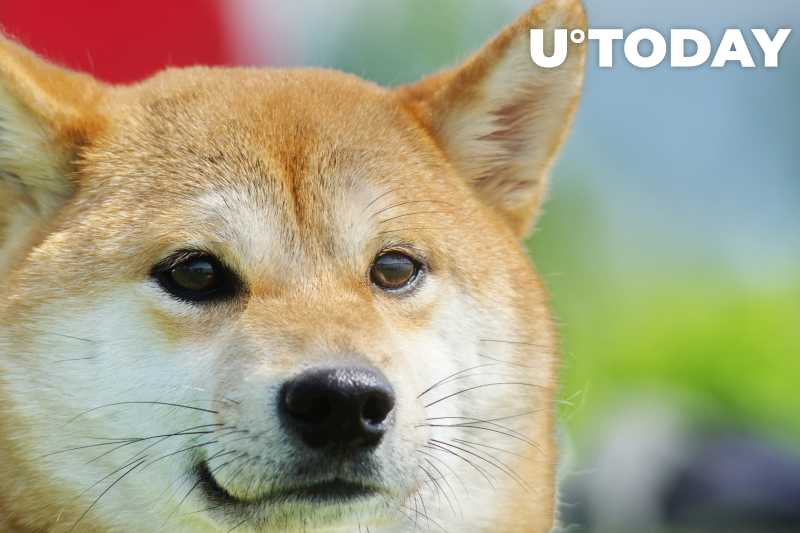 Shiba Inu và Dogecoin không có khả năng tập hợp vào năm 2022, theo nhà phân tích thị trường - Tin Tức Bitcoin - Cập Nhật Tin Tức Coin Mới Nhất 24/7 2025 Shiba Inu và Dogecoin không có khả năng tập hợp vào năm 2022, theo nhà phân tích thị trường