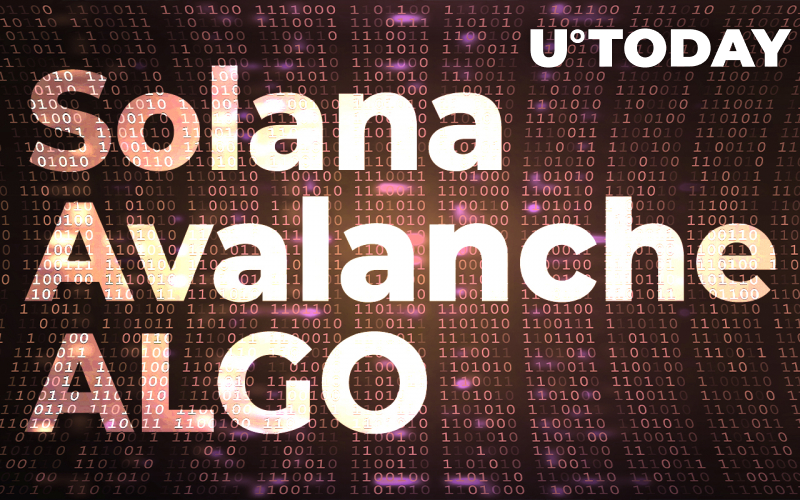 Solana, Avalanche, ALGO Tổn thất kỷ lục khi thị trường sụt giảm, Tâm lý chuyển sang "Nỗi sợ hãi tột độ"