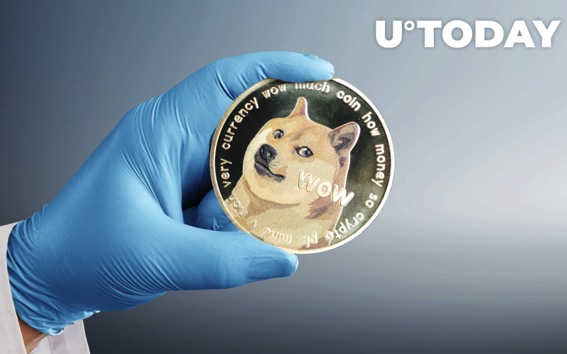 Trò lừa đảo Dogecoin của "Elon Musk" được quảng cáo bởi tài khoản Twitter bị tấn công của Hiệp hội y tế Ấn Độ