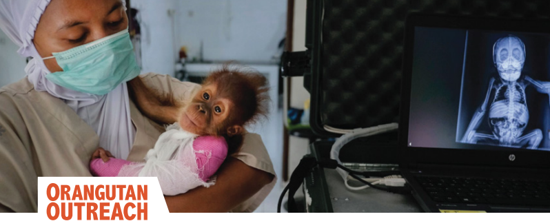 Các khoản quyên góp tiền điện tử đi đâu? Dưới đây là sáu tổ chức từ thiện đã được hưởng lợi, như The Giving Block đã nói - Tin Tức Bitcoin - Cập Nhật Tin Tức Coin Mới Nhất 24/7 2025