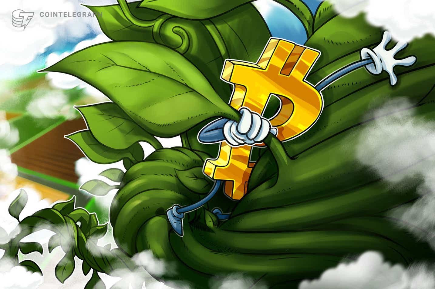 Bitcoin vẫn cao hơn sau khi cổ phiếu đẩy giá BTC lên mức 42 nghìn đô la - Tin Tức Bitcoin - Cập Nhật Tin Tức Coin Mới Nhất 24/7 2025 Bitcoin vẫn cao hơn sau khi cổ phiếu đẩy giá BTC lên mức 42 nghìn đô la