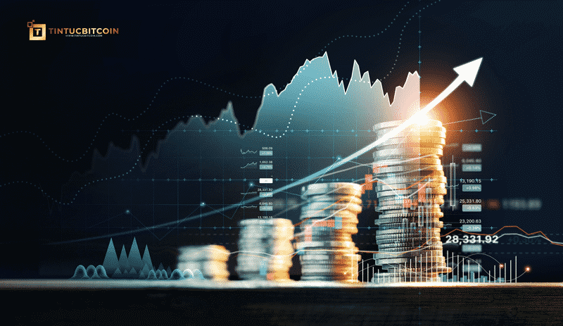 Phân tích cơ bản (Fundamental Analysis) là gì?