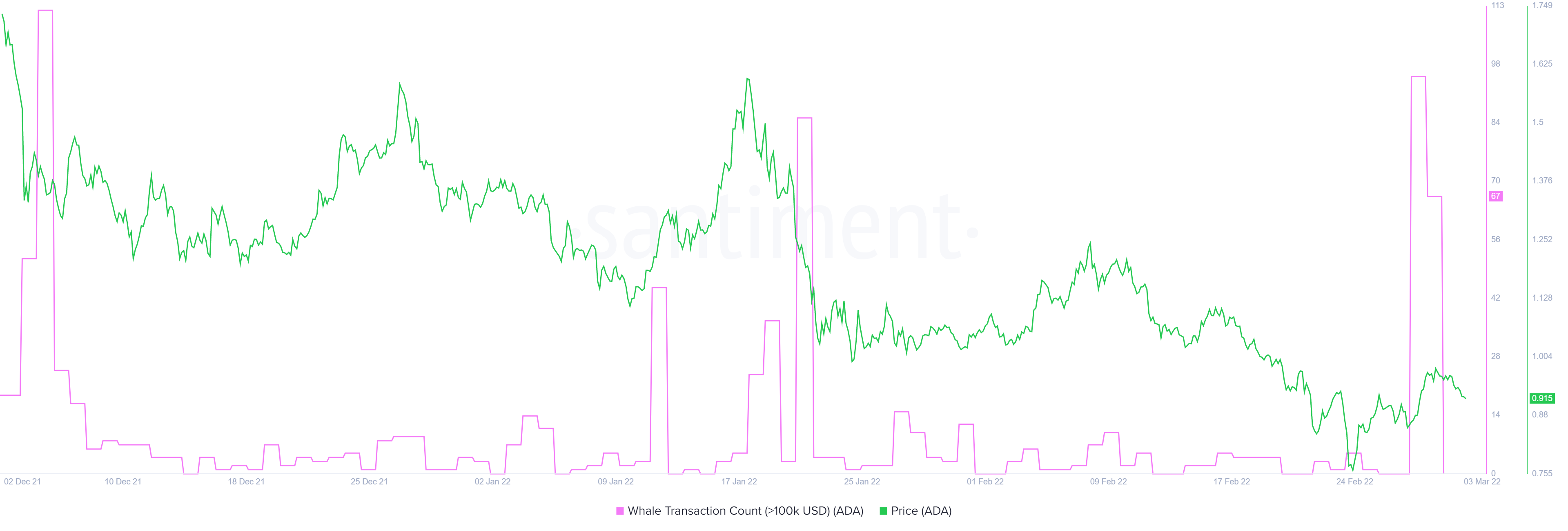 Xác định xem bạn có thể sử dụng Cardano để tăng gấp 3 lần lợi tức đầu tư hay không - Tin Tức Bitcoin - Cập Nhật Tin Tức Coin Mới Nhất 24/7 2025