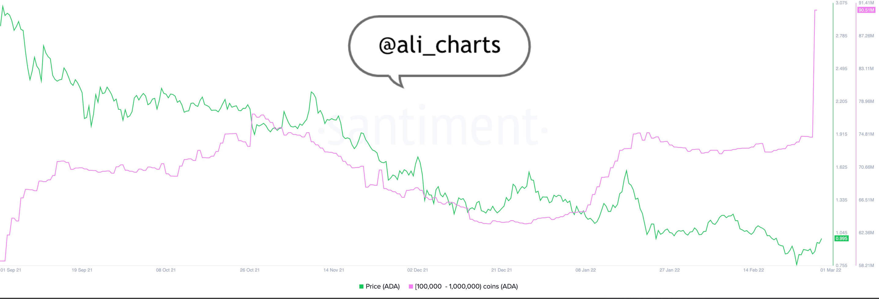 Cardano (ADA) tiếp tục tích luỹ. Holder nên sẵn sàng cho đợt tăng giá - Tin Tức Bitcoin - Cập Nhật Tin Tức Coin Mới Nhất 24/7 2025