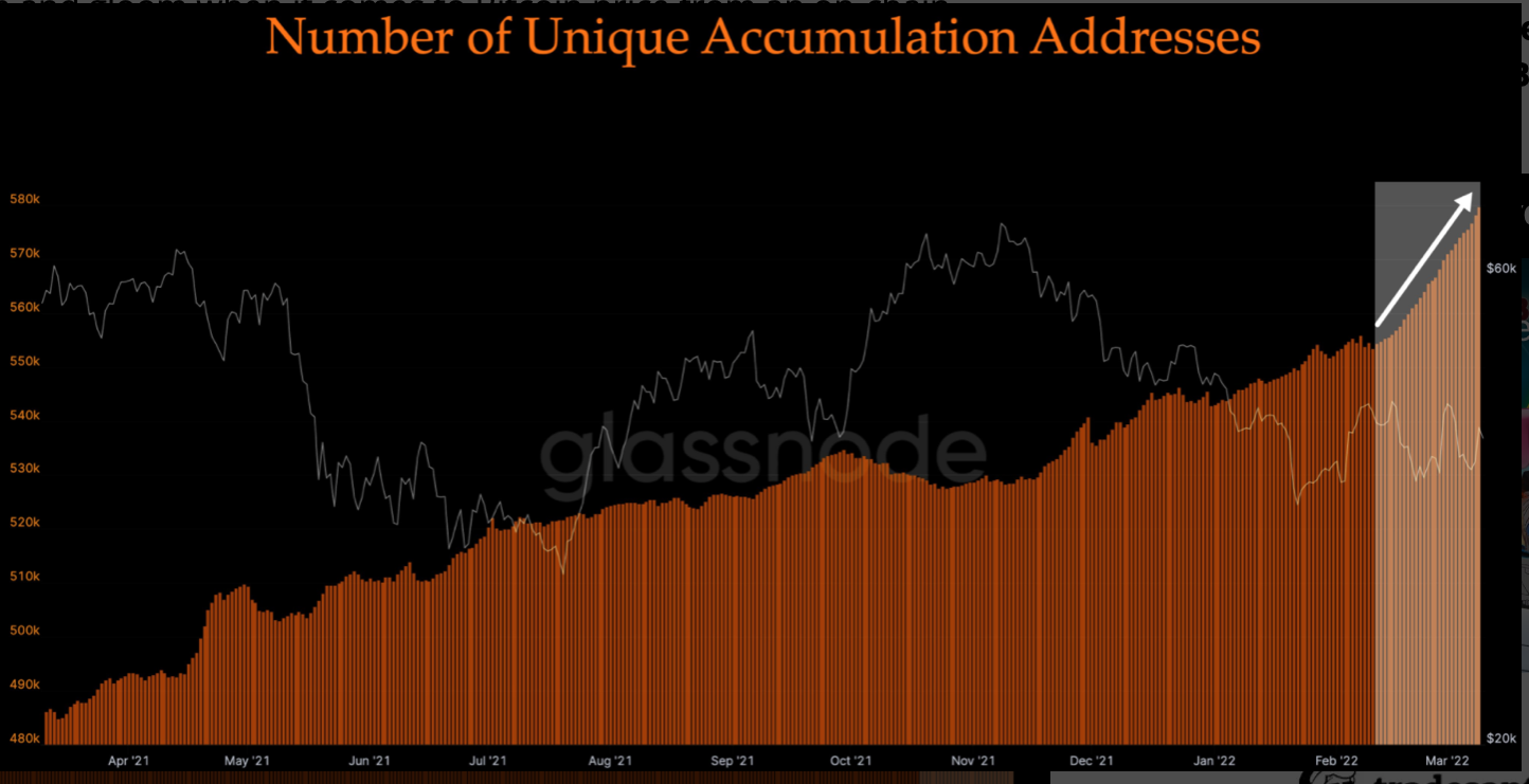 Điều gì đang nén giá Bitcoin dưới mốc 40.000 đô la tâm lý - Tin Tức Bitcoin - Cập Nhật Tin Tức Coin Mới Nhất 24/7 2025