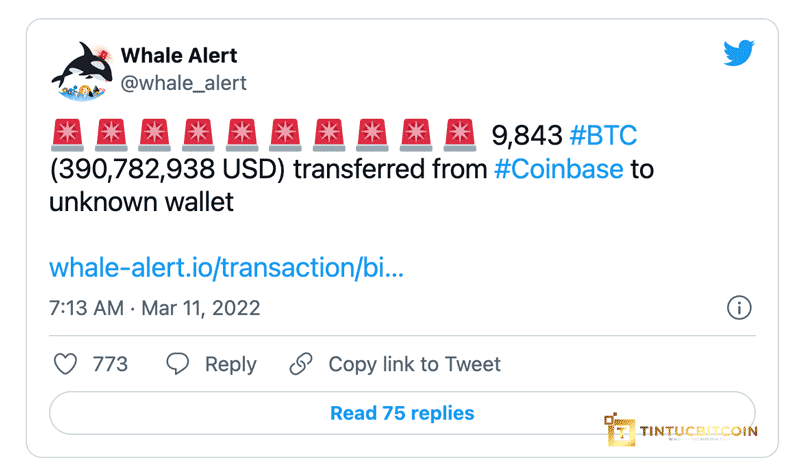 Bitcoin đang được gom? Hơn 30,000 BTC được rút khỏi sàn Coinbase Pro - Tin Tức Bitcoin - Cập Nhật Tin Tức Coin Mới Nhất 24/7 2026 Bitcoin đang được gom? Hơn 30,000 BTC được rút khỏi sàn Coinbase Pro - Tin Tức Bitcoin - Cập Nhật Tin Tức Coin Mới Nhất 24/7 2026