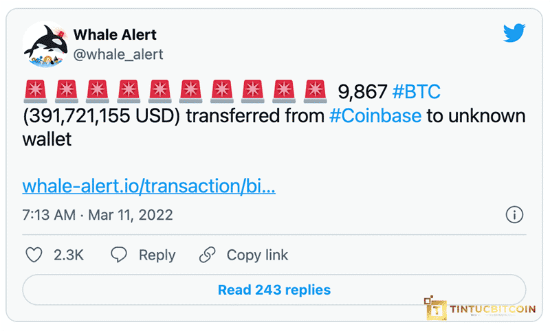 Bitcoin đang được gom? Hơn 30,000 BTC được rút khỏi sàn Coinbase Pro - Tin Tức Bitcoin - Cập Nhật Tin Tức Coin Mới Nhất 24/7 2026 Bitcoin đang được gom? Hơn 30,000 BTC được rút khỏi sàn Coinbase Pro - Tin Tức Bitcoin - Cập Nhật Tin Tức Coin Mới Nhất 24/7 2026