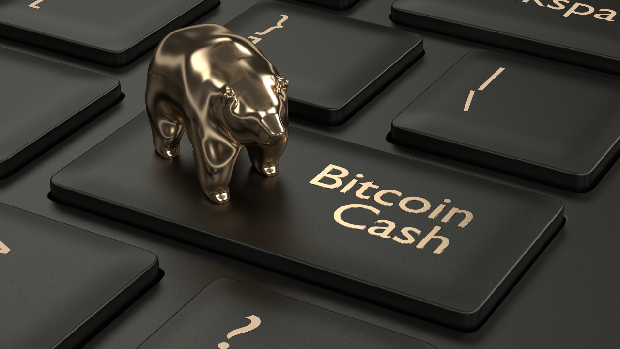 Bitcoin Cash (BCH) đã sẵn sàng cho một đợt tăng giá?